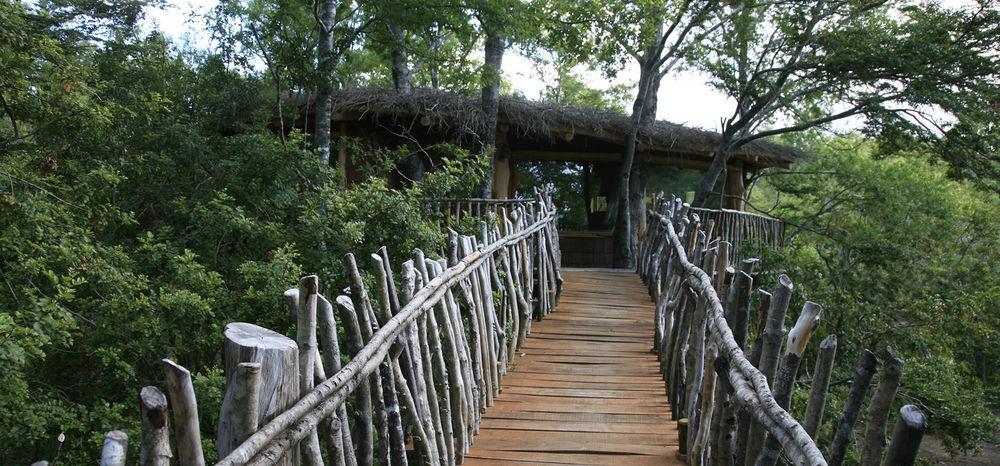 Tree Lodge Nidos De Пукон Экстерьер фото