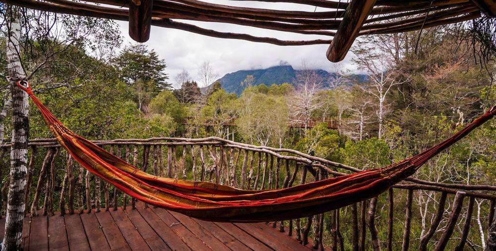 Tree Lodge Nidos De Пукон Экстерьер фото