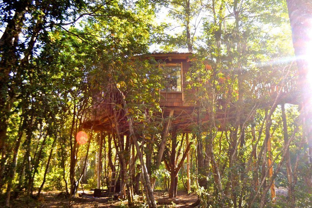 Tree Lodge Nidos De Пукон Экстерьер фото