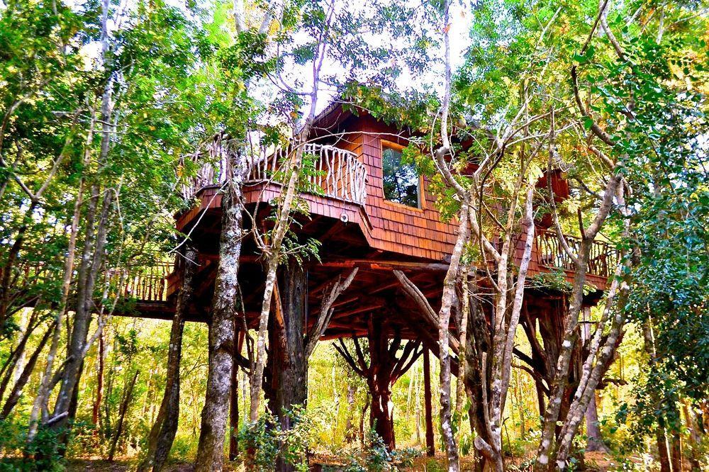 Tree Lodge Nidos De Пукон Экстерьер фото