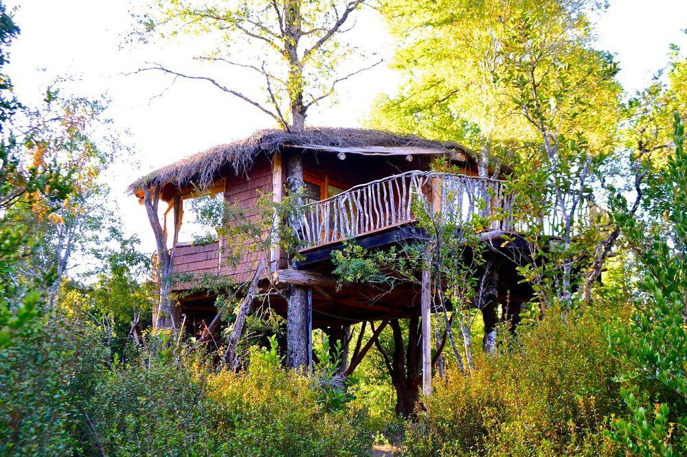 Tree Lodge Nidos De Пукон Экстерьер фото