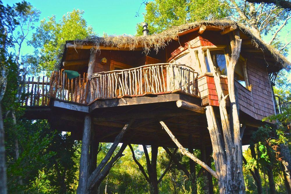 Tree Lodge Nidos De Пукон Экстерьер фото