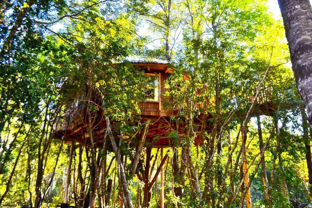 Tree Lodge Nidos De Пукон Экстерьер фото