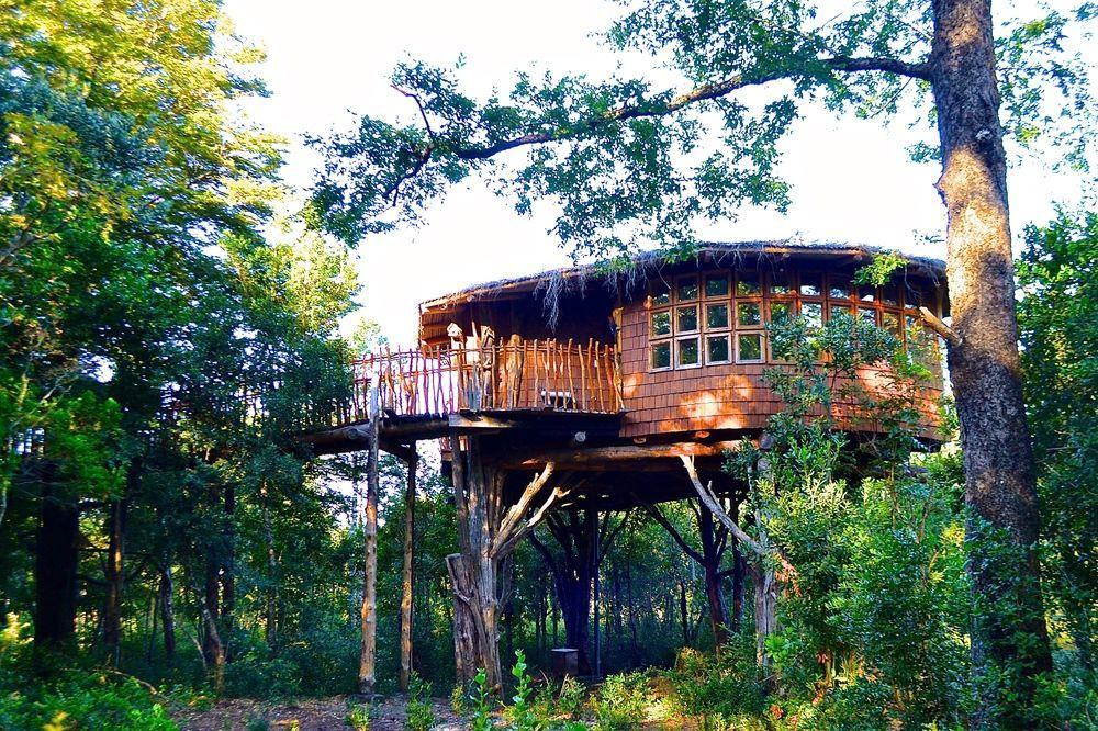 Tree Lodge Nidos De Пукон Экстерьер фото