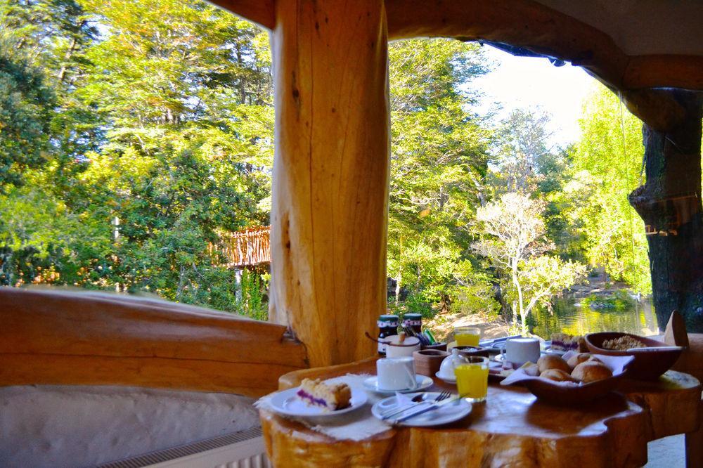 Tree Lodge Nidos De Пукон Экстерьер фото
