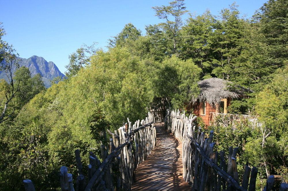 Tree Lodge Nidos De Пукон Экстерьер фото