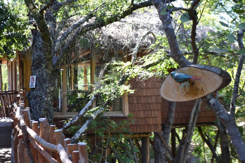 Tree Lodge Nidos De Пукон Экстерьер фото