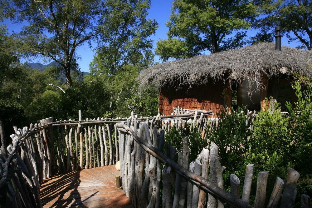Tree Lodge Nidos De Пукон Экстерьер фото