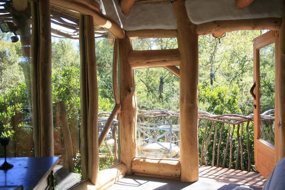 Tree Lodge Nidos De Пукон Экстерьер фото