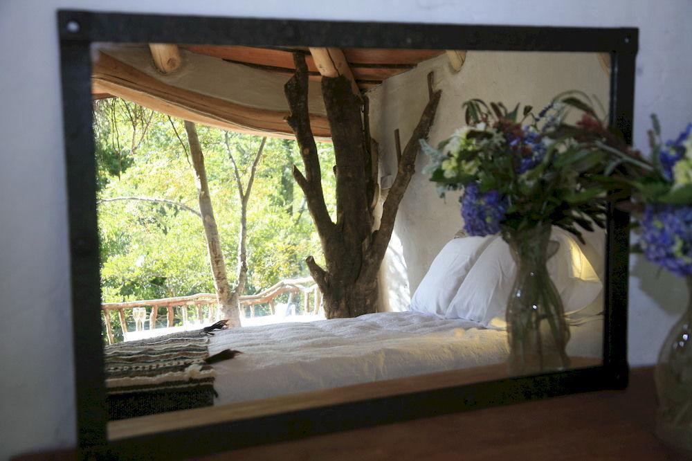 Tree Lodge Nidos De Пукон Экстерьер фото