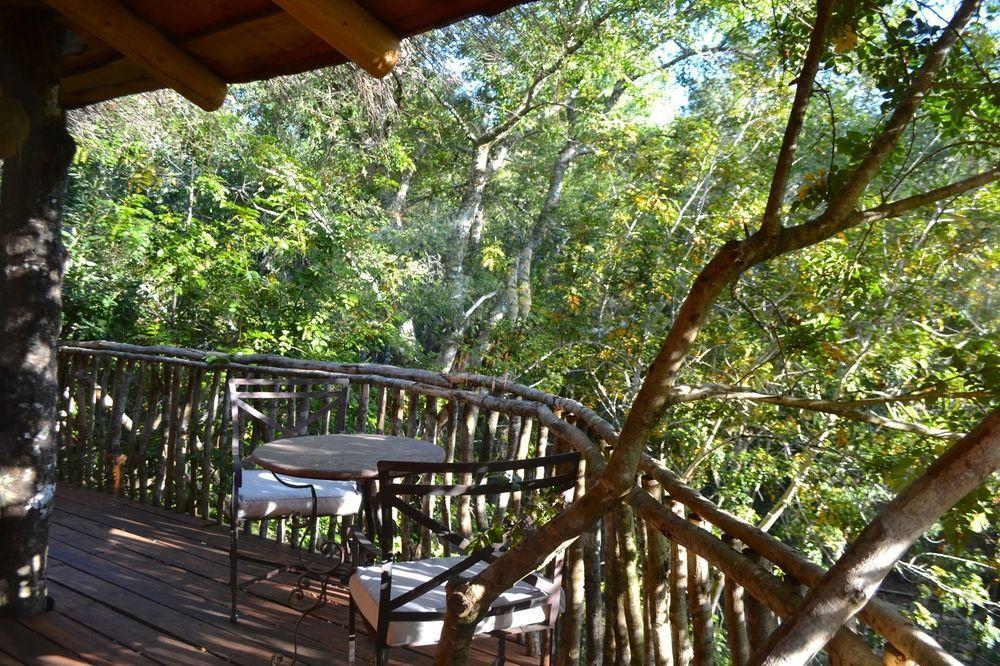 Tree Lodge Nidos De Пукон Экстерьер фото