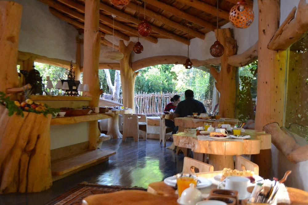 Tree Lodge Nidos De Пукон Экстерьер фото