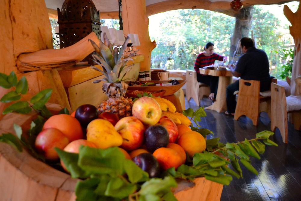 Tree Lodge Nidos De Пукон Экстерьер фото