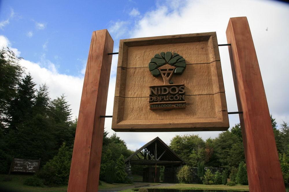 Tree Lodge Nidos De Пукон Экстерьер фото