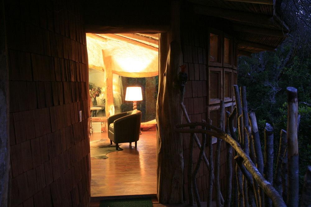 Tree Lodge Nidos De Пукон Экстерьер фото